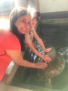 Turtle Hatchery & Reserve Galle